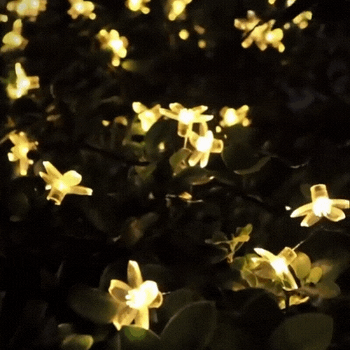 Kiora™ Luces de Cereza en Flor (2x1)