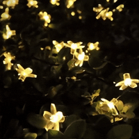 Kiora™ Luces de Cereza en Flor (2x1)