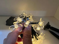 Kiora™ Luces de Cereza en Flor (2x1)