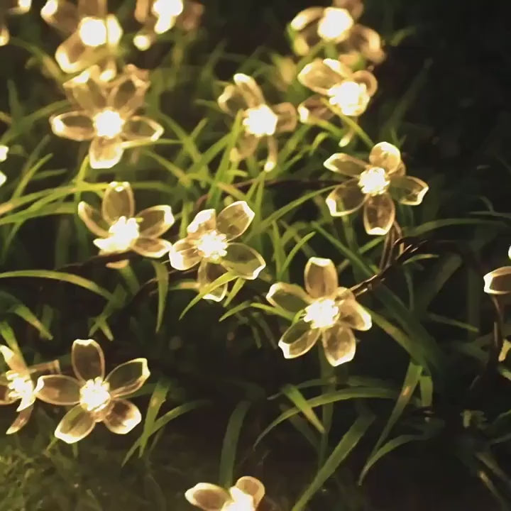 Kiora™ Luces de Cereza en Flor (2x1) video