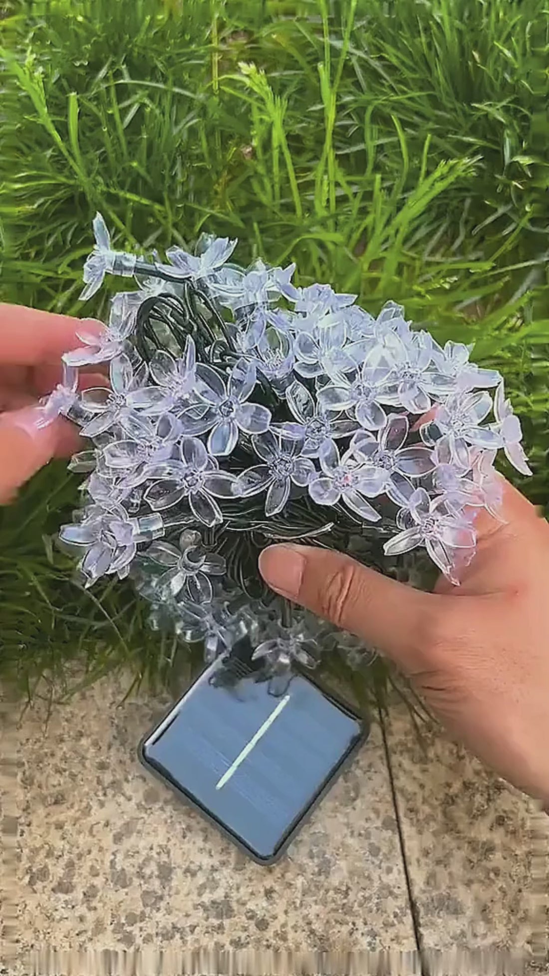 Kiora™ Luces de Cereza en Flor (2x1) video