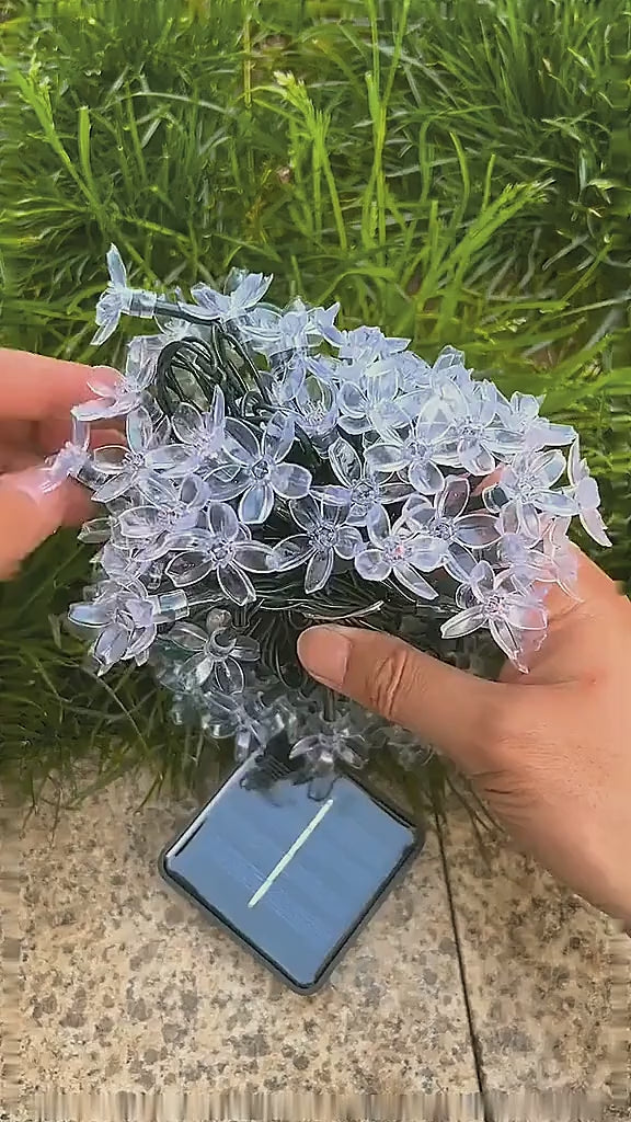 Kiora™ Luces de Cereza en Flor (2x1) video