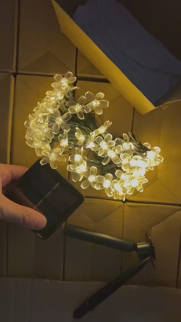 Kiora™ Luces de Cereza en Flor (2x1) video