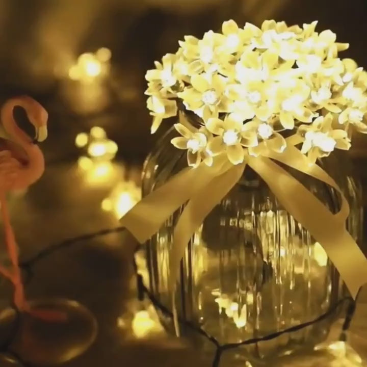 Kiora™ Luces de Cereza en Flor (2x1) video